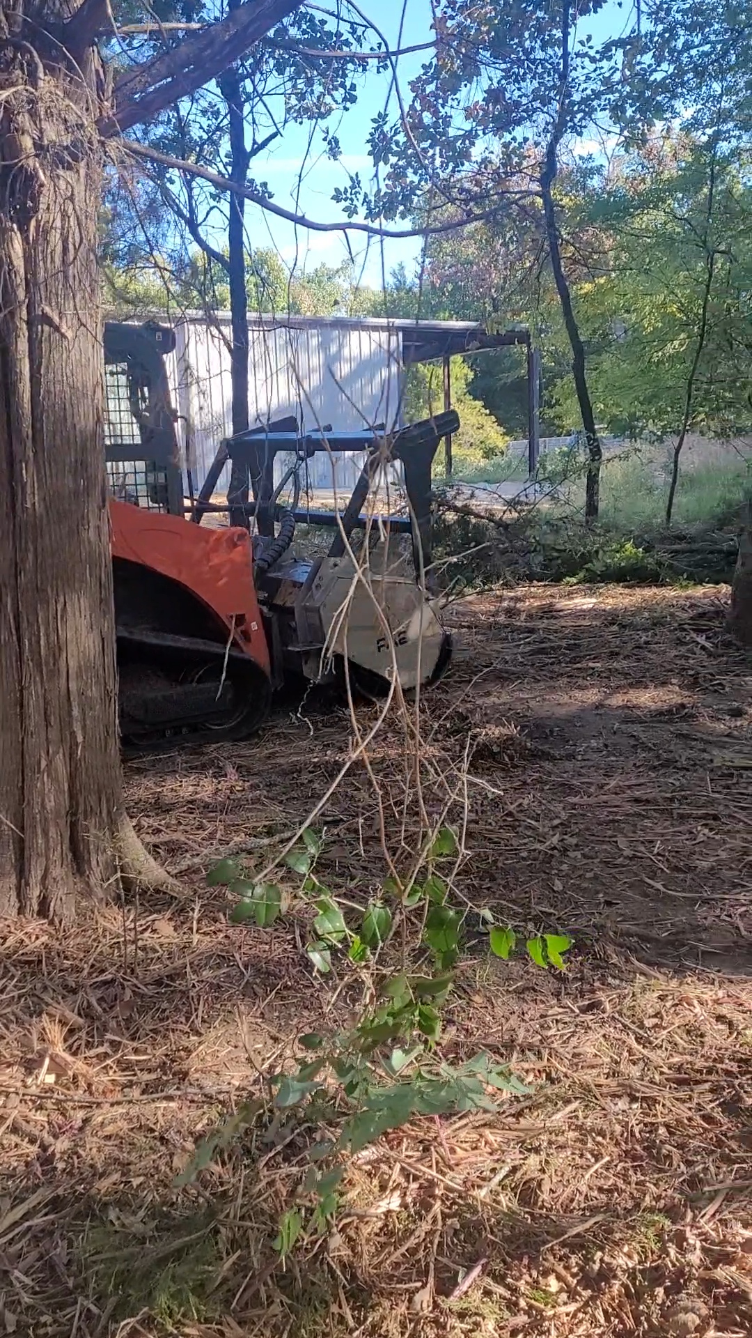 Tree Removal & Trimming
