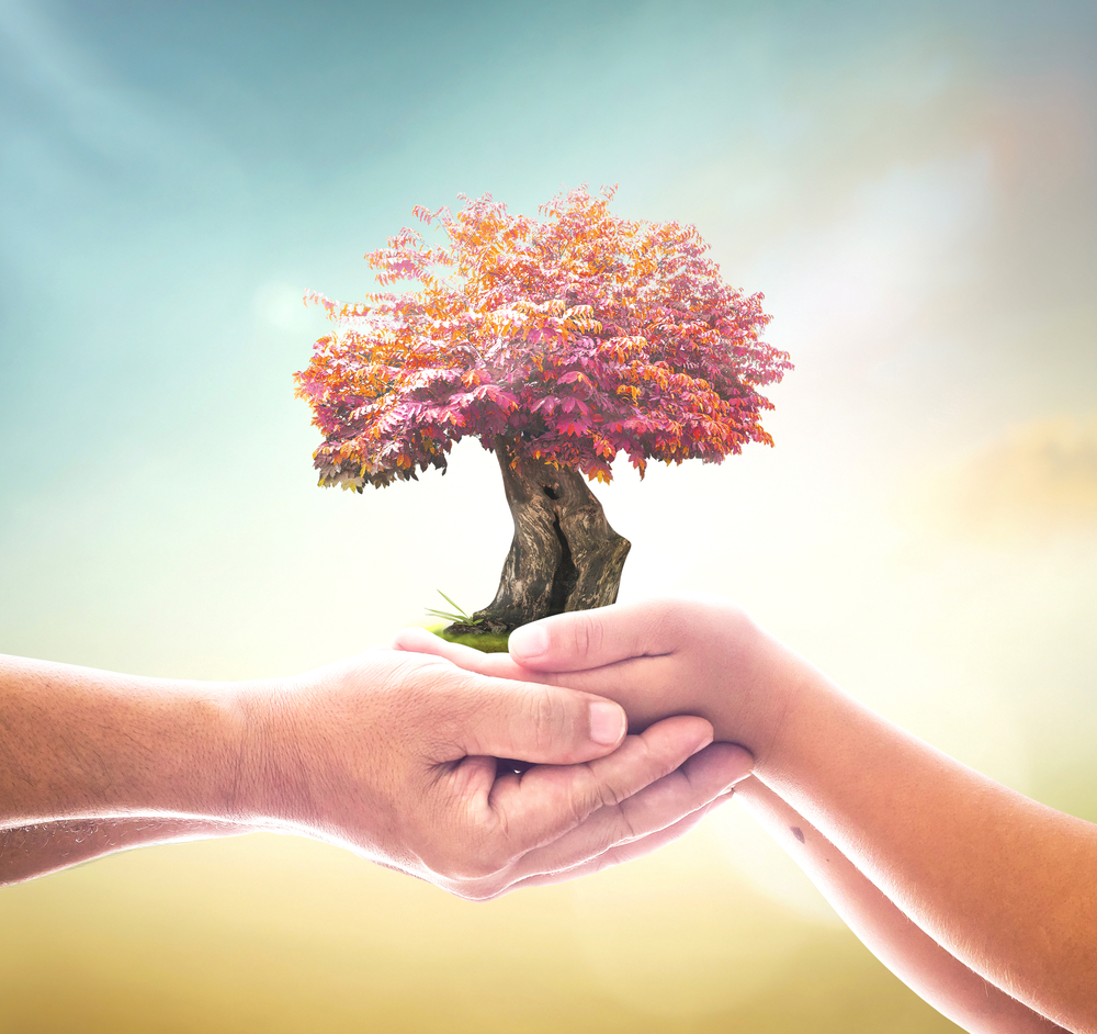 Donor retention