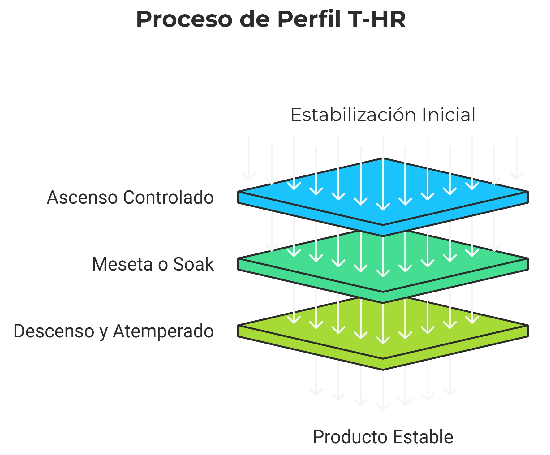 Perfil de curado T-HR: Secuencia completa de preacondicionamiento, ascenso, meseta (soak) y descenso controlado para estabilizar producto y evitar choque térmico.