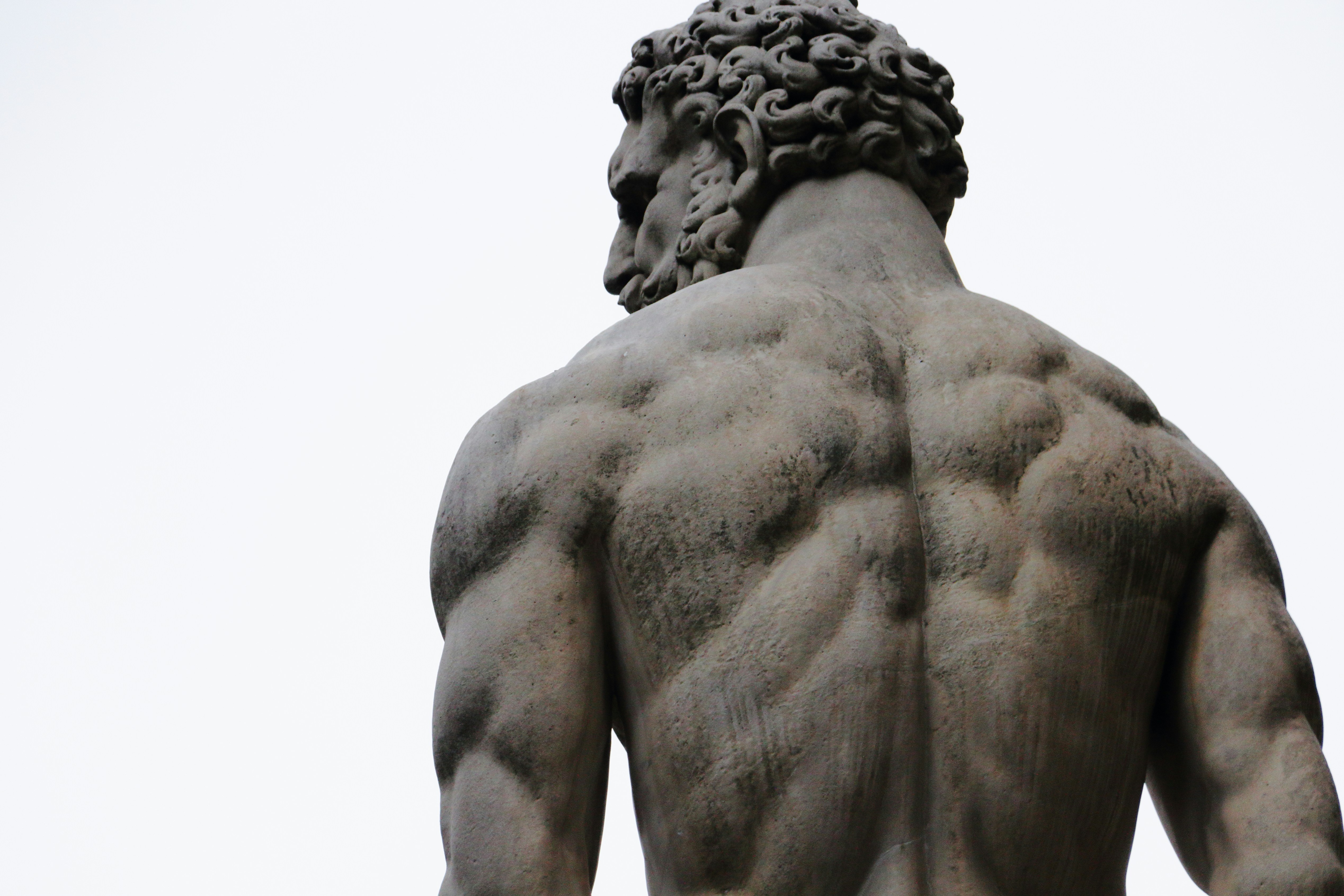 back muscles