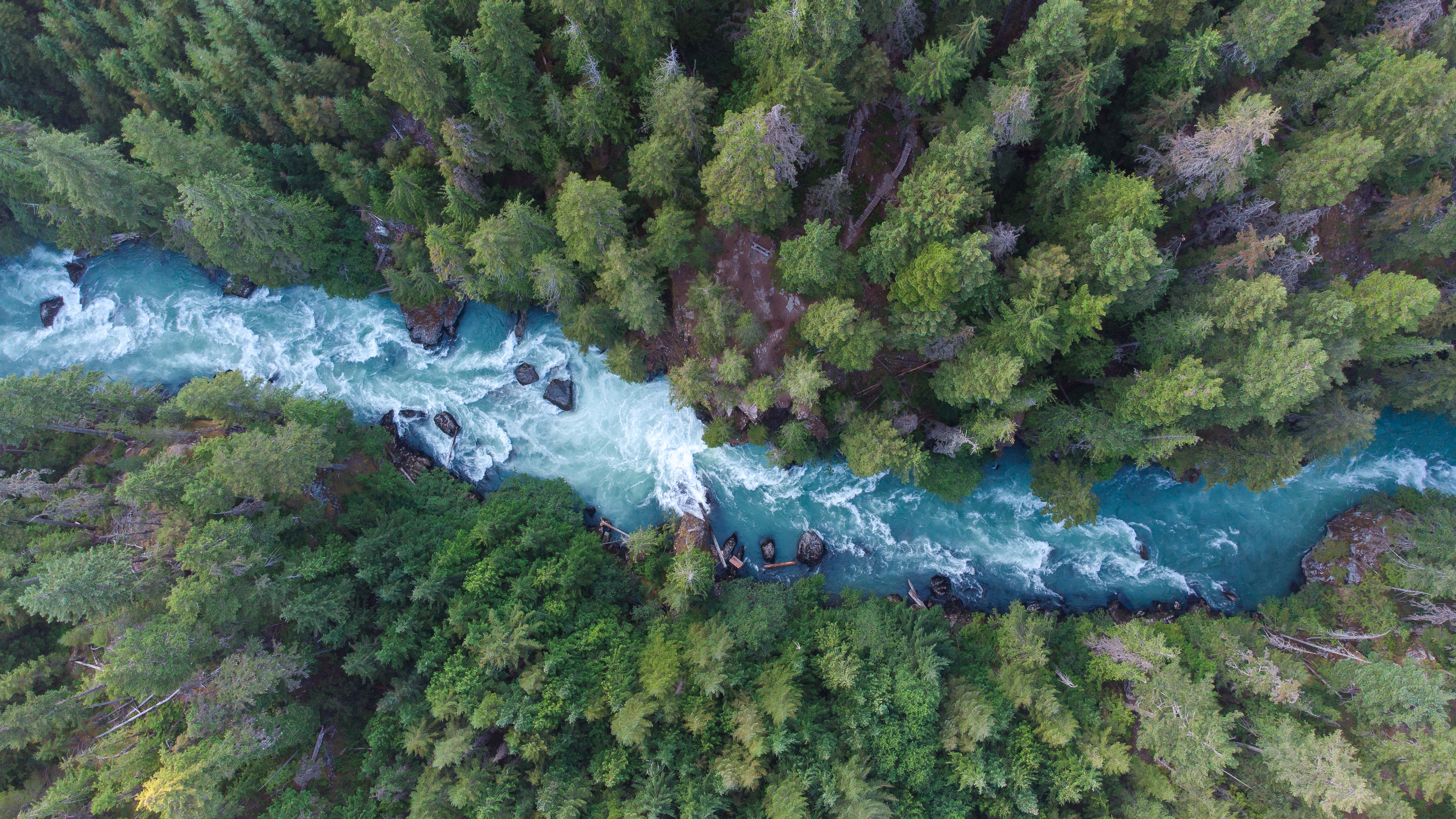 Drone shot looking down on a river running through a forest