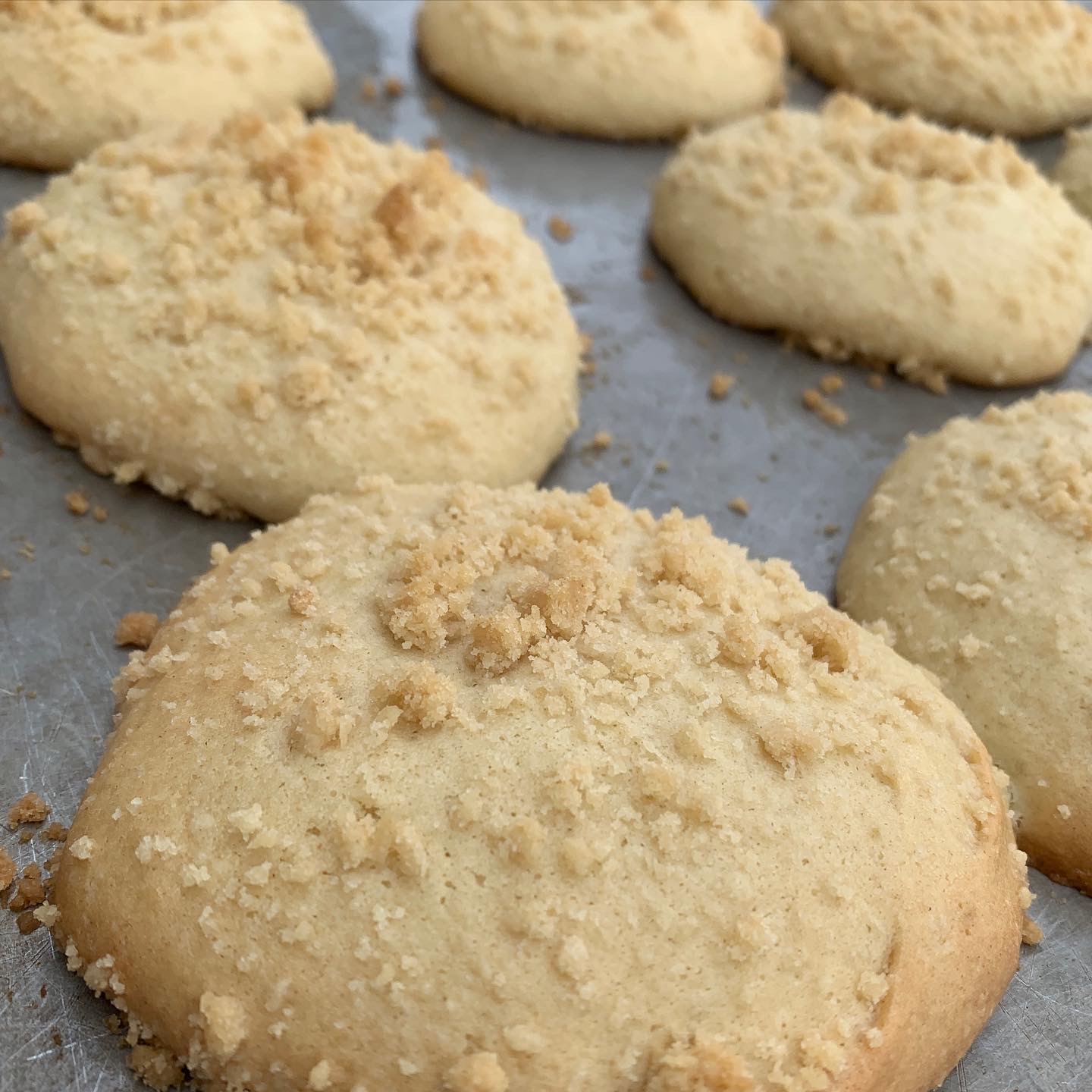 sugar cookie
