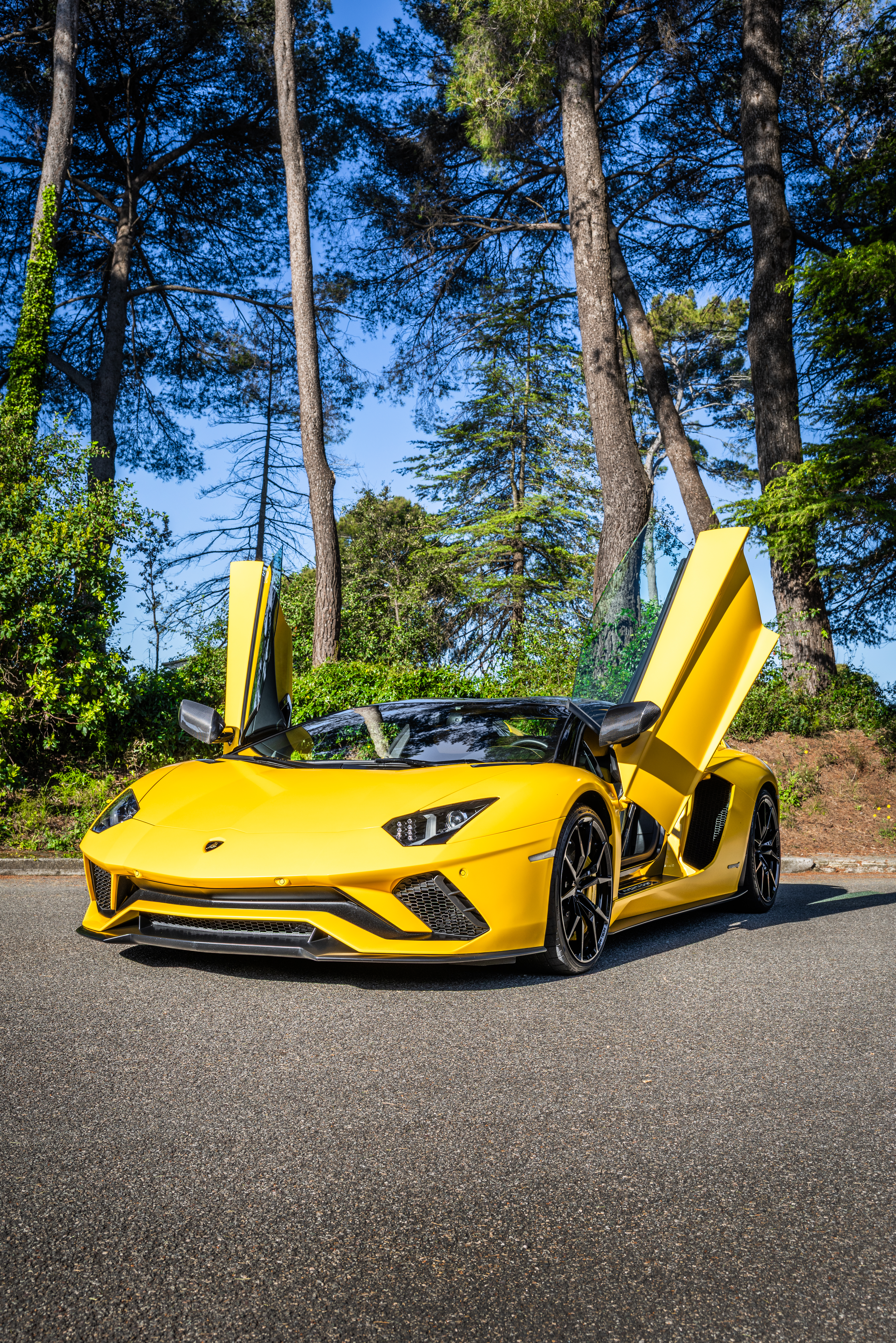 Aventador Ouverte Face
