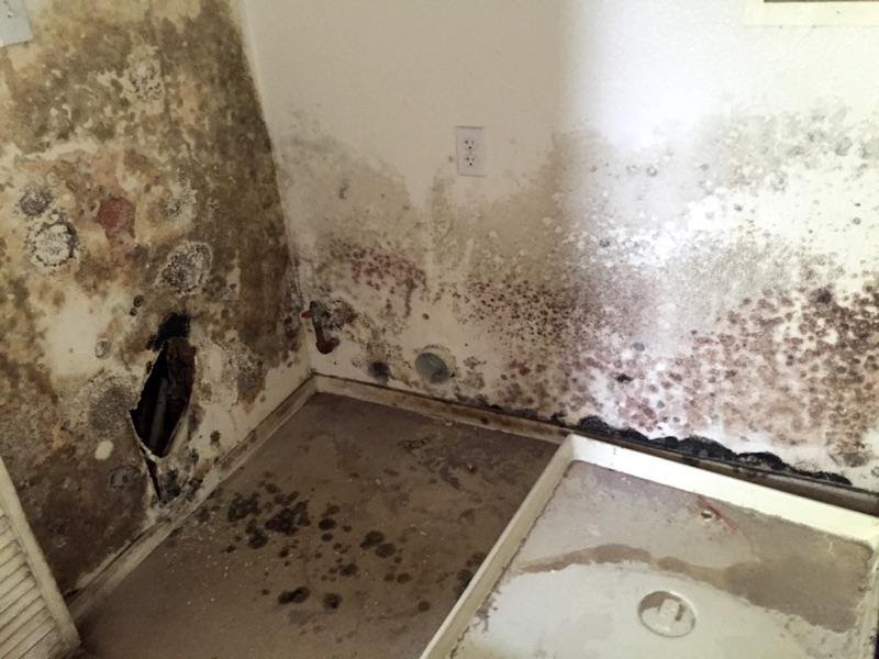 Water Damage