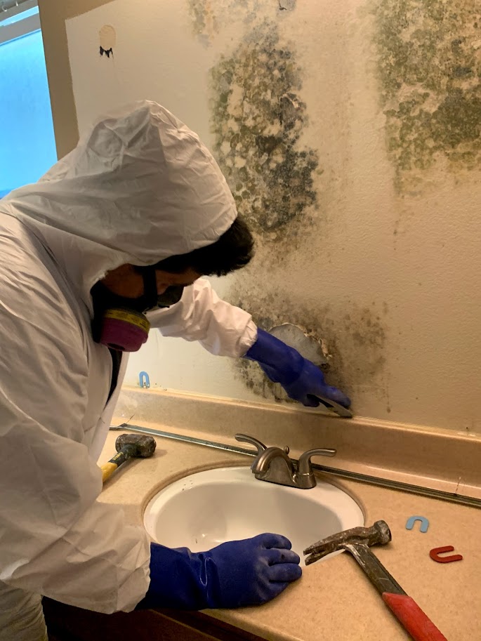 Mold Removal