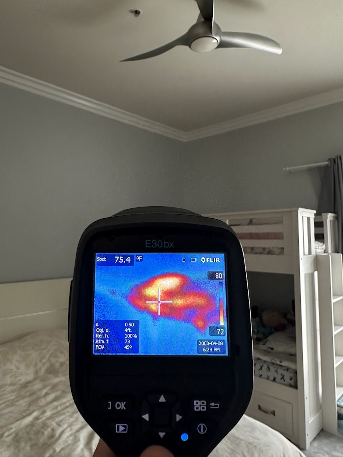 Mold inspection