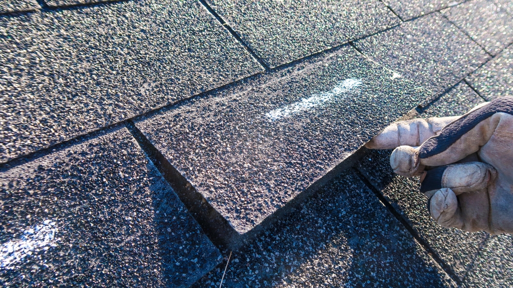 A close-up of a hand inspecting cracked and weathered asphalt shingles on a residential roof, illustrating the early signs of roof damage in Bellevue, WA.