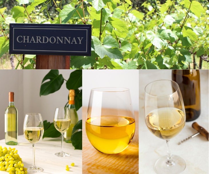 Chardonnay