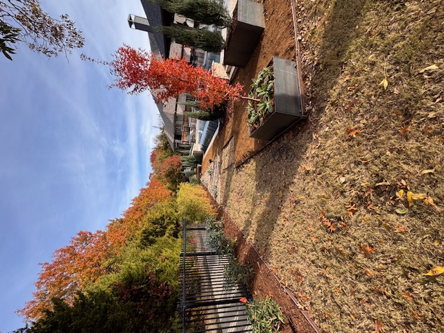 landscape design landscape design
