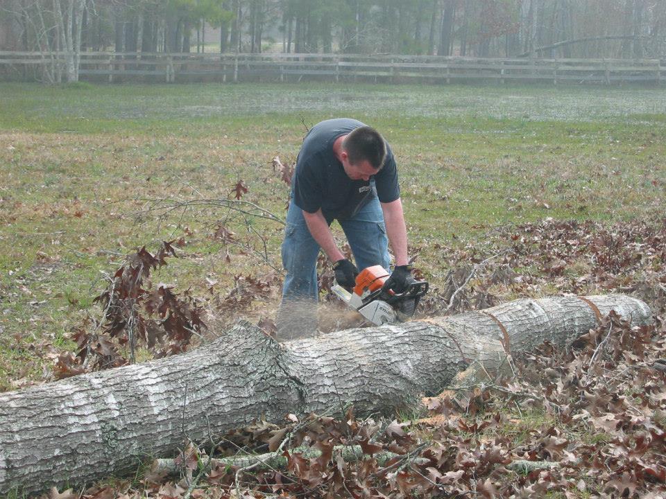 Tree maintenance 5