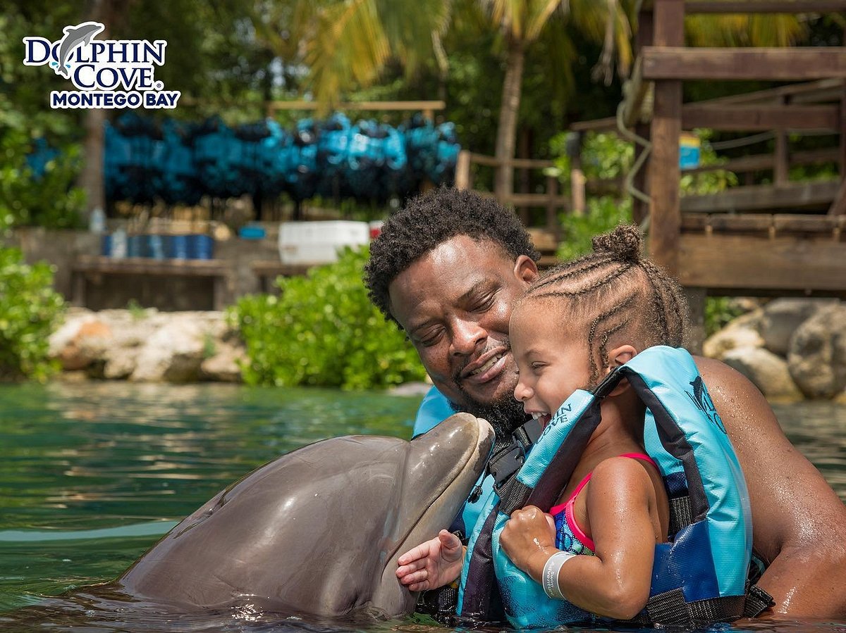 Dolphin Cove Jamaica Dolphin Cove Jamaica