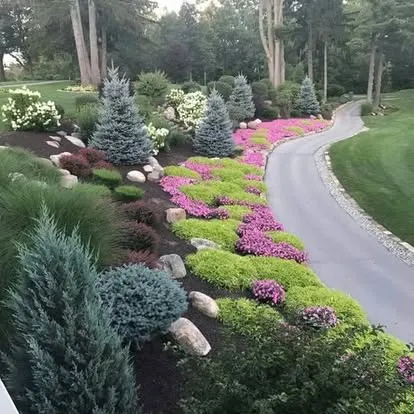 Urban Backyard Transformation