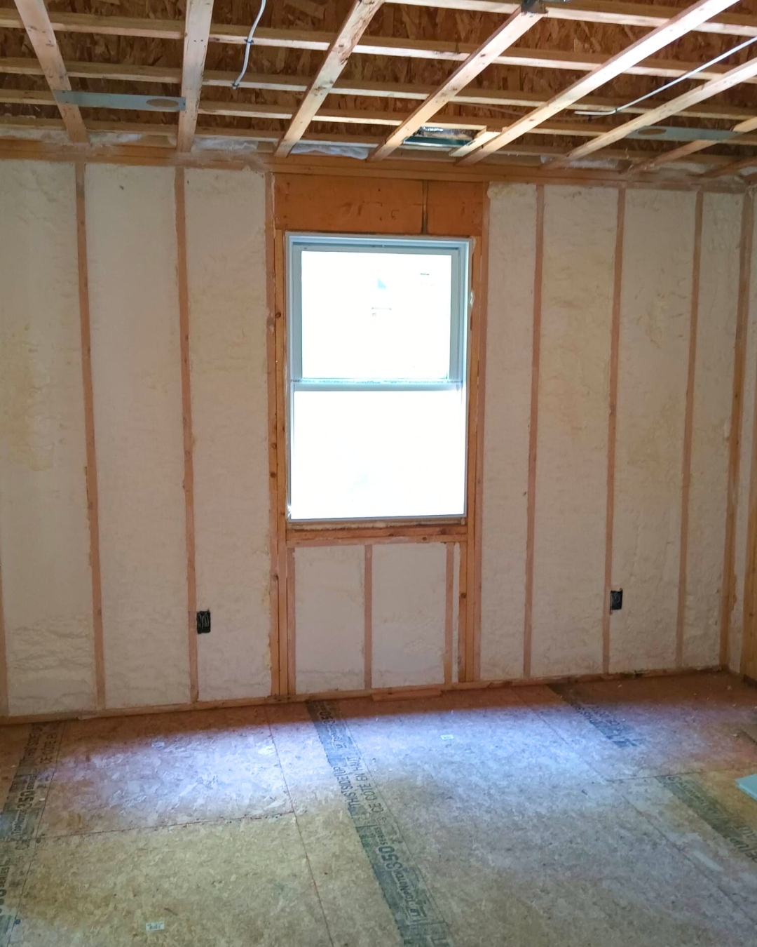 Insulation Project 1