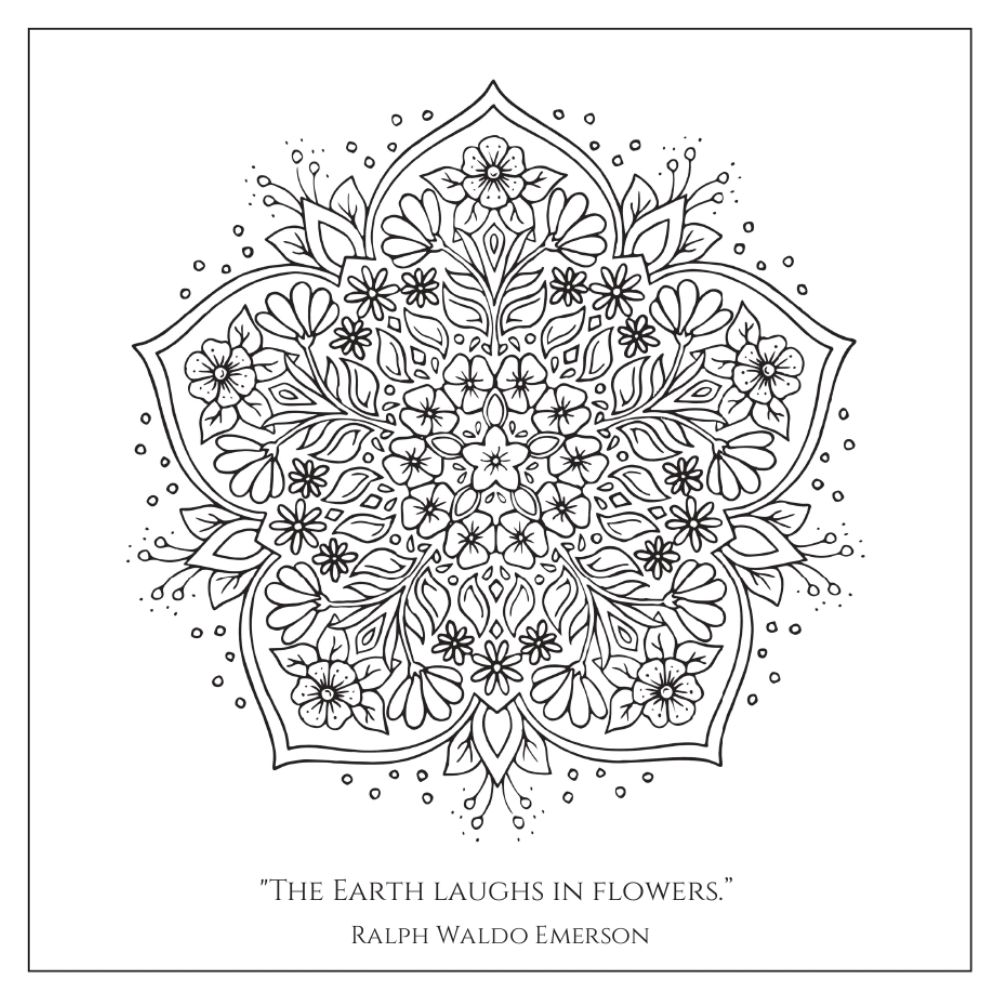 flower mandala flower mandala