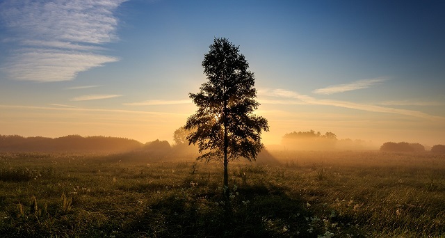 Enlightened nature scene used in blog post by Carli Thorpe