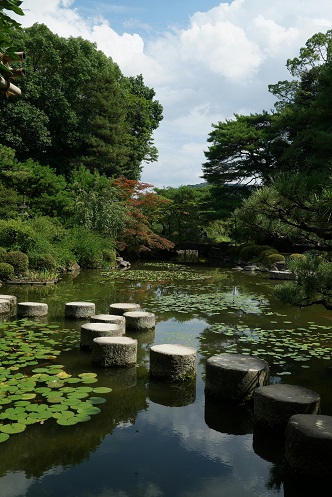 Stepping stones used in freedom blog by carli thorpe