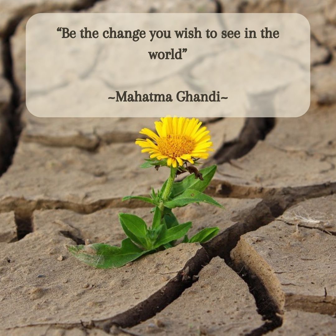 Image of flower and quote Be The Change used in blog post about Self-care by Carli Thorpe