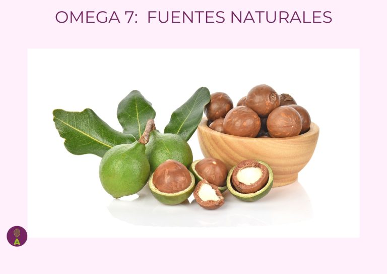Nueces de macadamia Nueces de macadamia