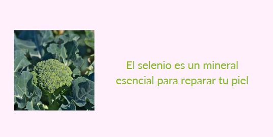La piel y el selenio