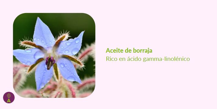 Aceite de borraja rico en omega 6 para mejorar la salud de la piel y reducir la dermatitis y la psoriasis Aceite de borraja rico en omega 6 para mejorar la salud de la piel y reducir la dermatitis y la psoriasis