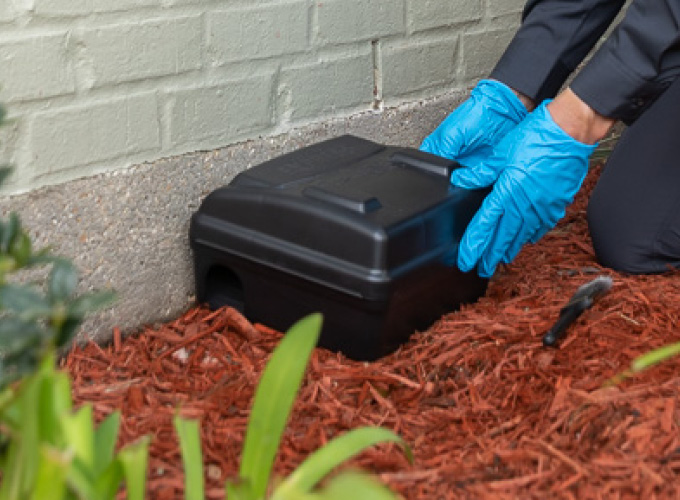 Rodent control