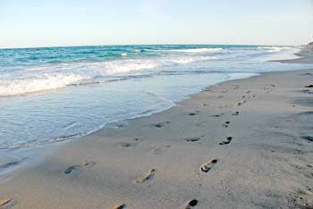 gulfstream park beach, boynton beach beaches, delray beach florida beaches