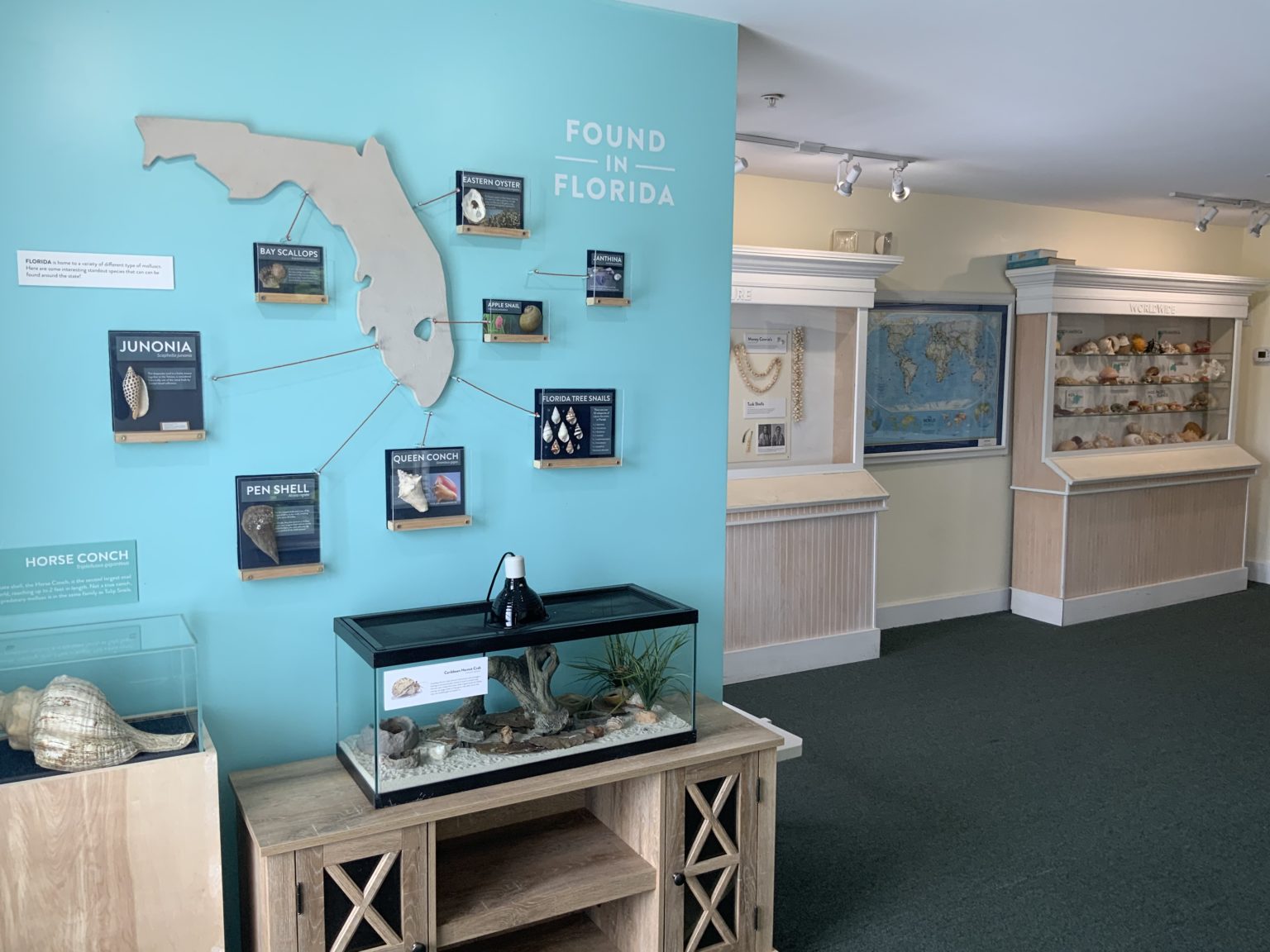 sandoway discovery center, marine life education program, family fun things to do in delray beach, delray beach fun things to do, kid friendly things to do in delray beach, delray beach museum, sandoway museum delray beach.jpg