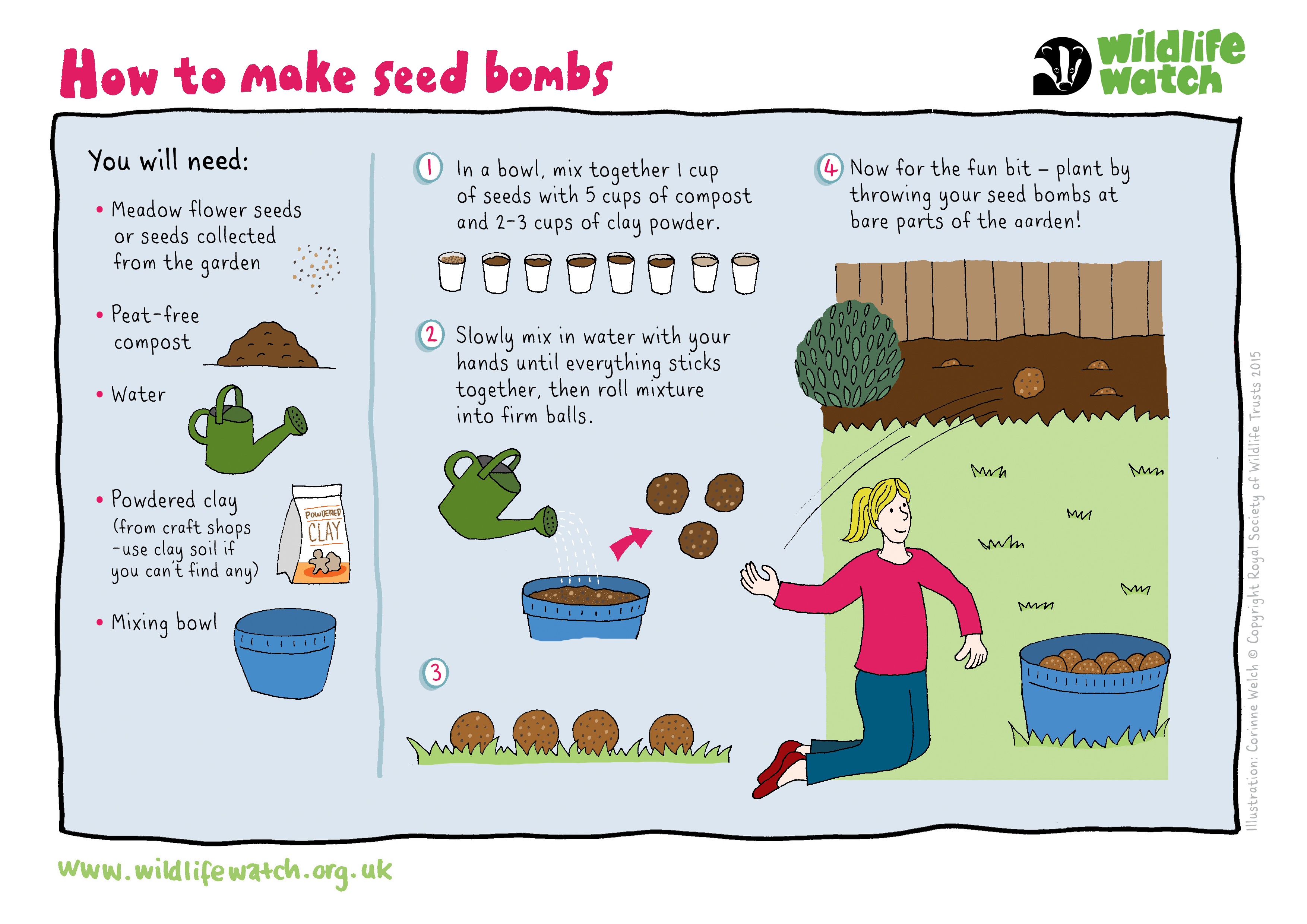 Diagram of how to make a seed bomb Diagram of how to make a seed bomb