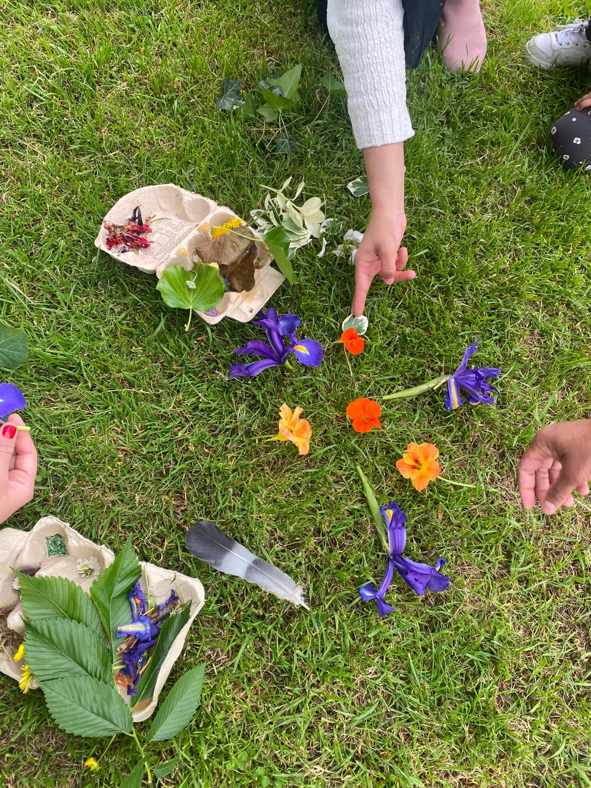 People organising flowers and leaves into sections of their egg cartons People organising flowers and leaves into sections of their egg cartons