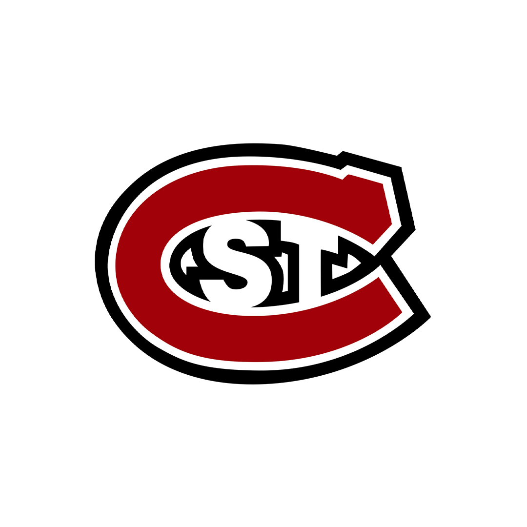 Logo 12