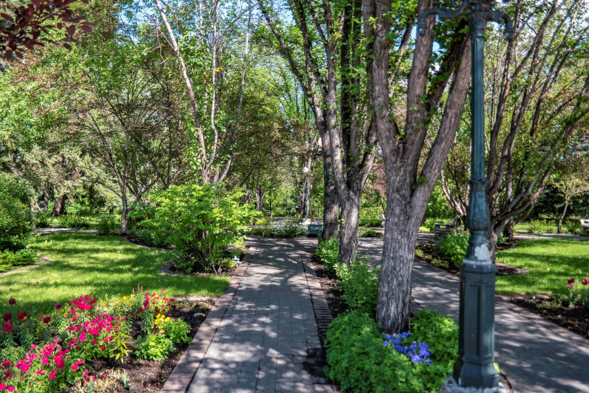 Elbow Park