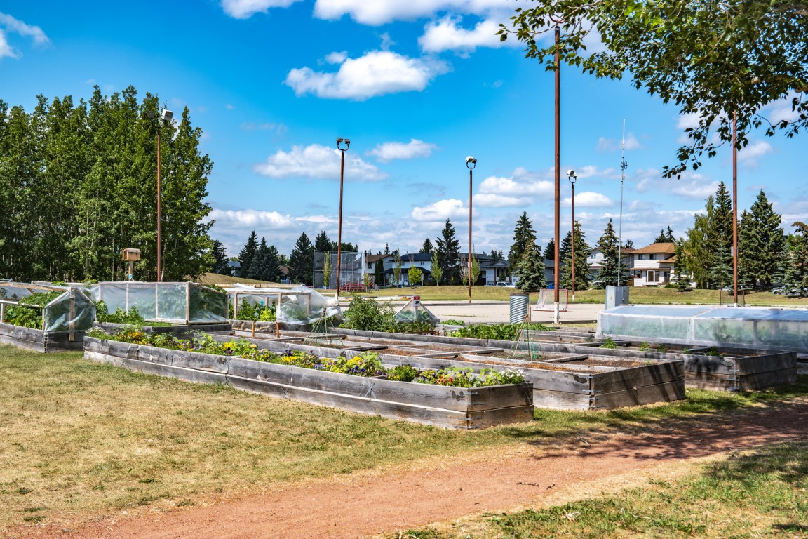 Cedarbrae