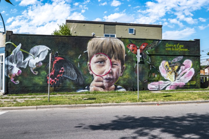 Sunnyside