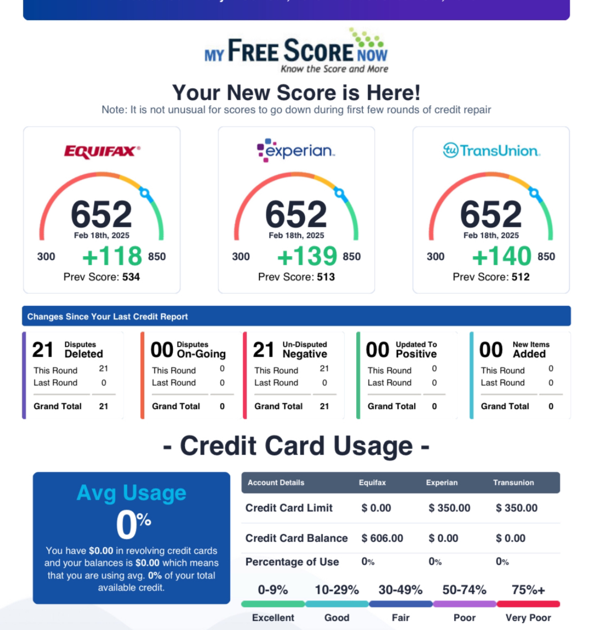 Credit Report Result 20