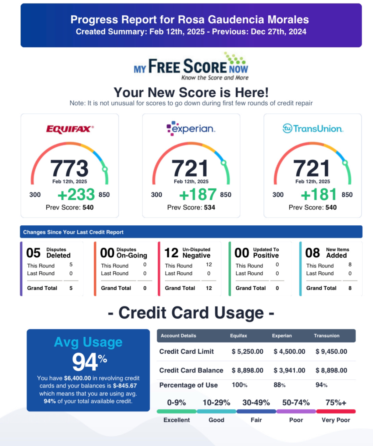 Credit Report Result 19