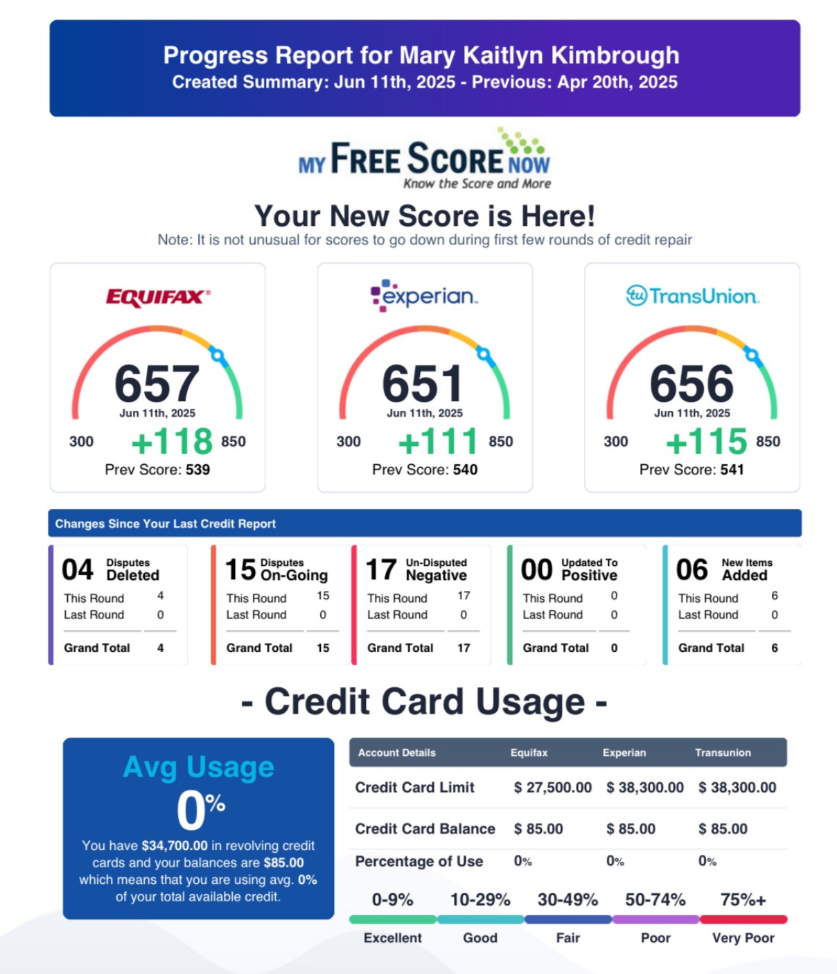 Credit Report Result 17