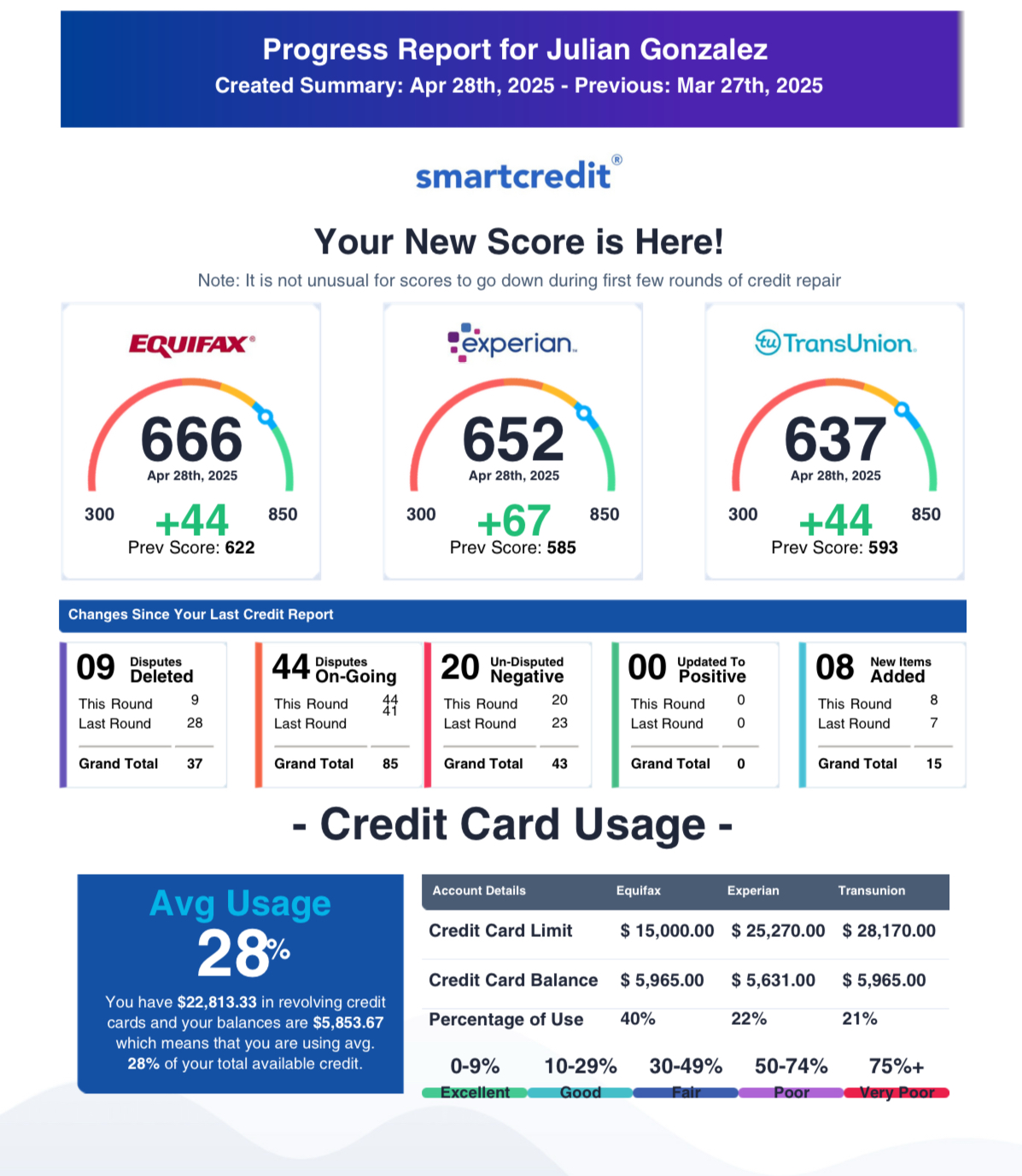 Credit Report Result 8