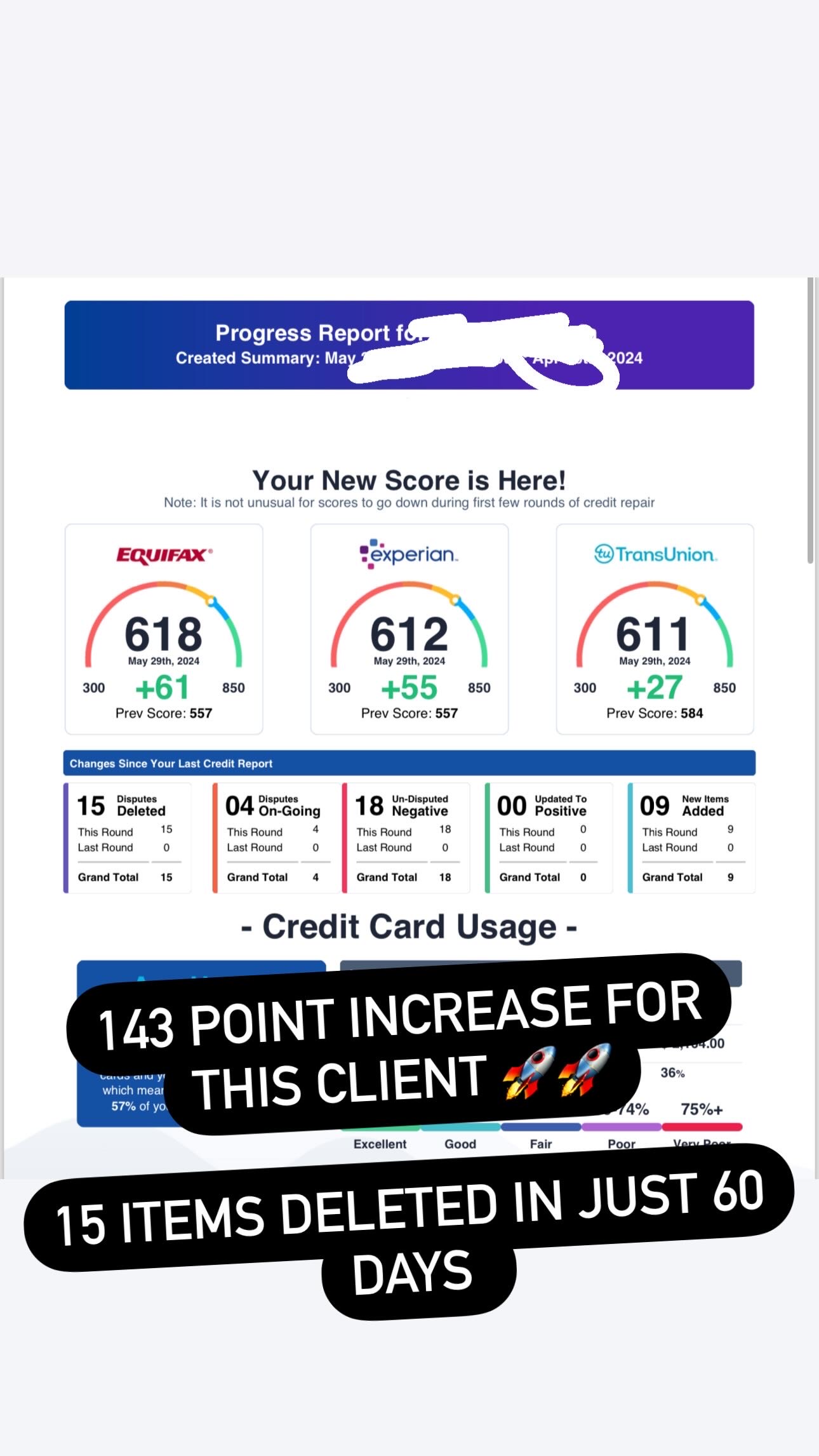 Credit Report Result 4