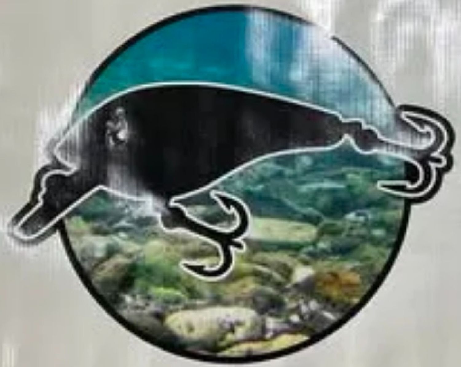 custom baits by overloaded outdoors logo