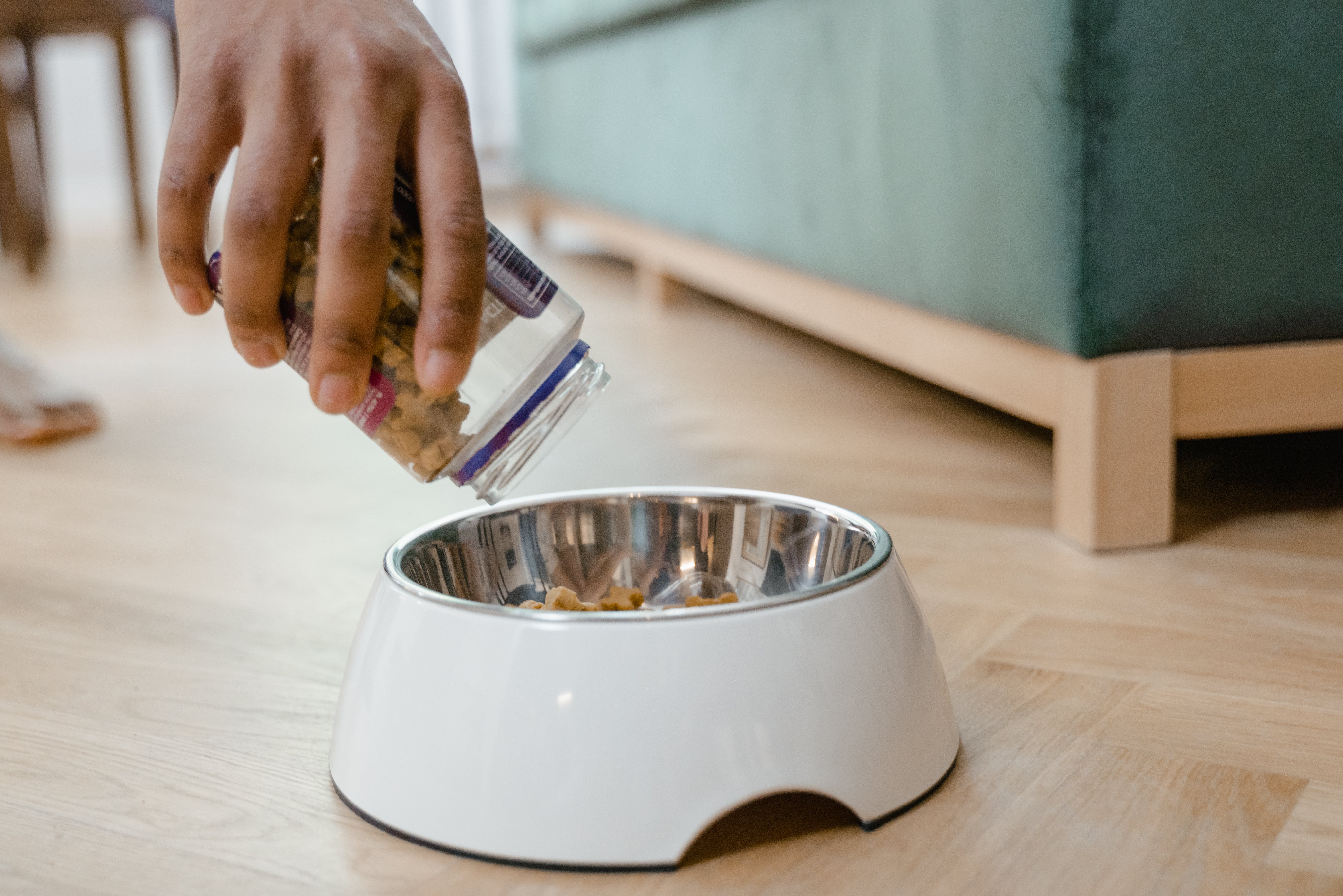 Homemade Pet Treat Recipes: Healthy Snacks for Your Four-Legged Companion