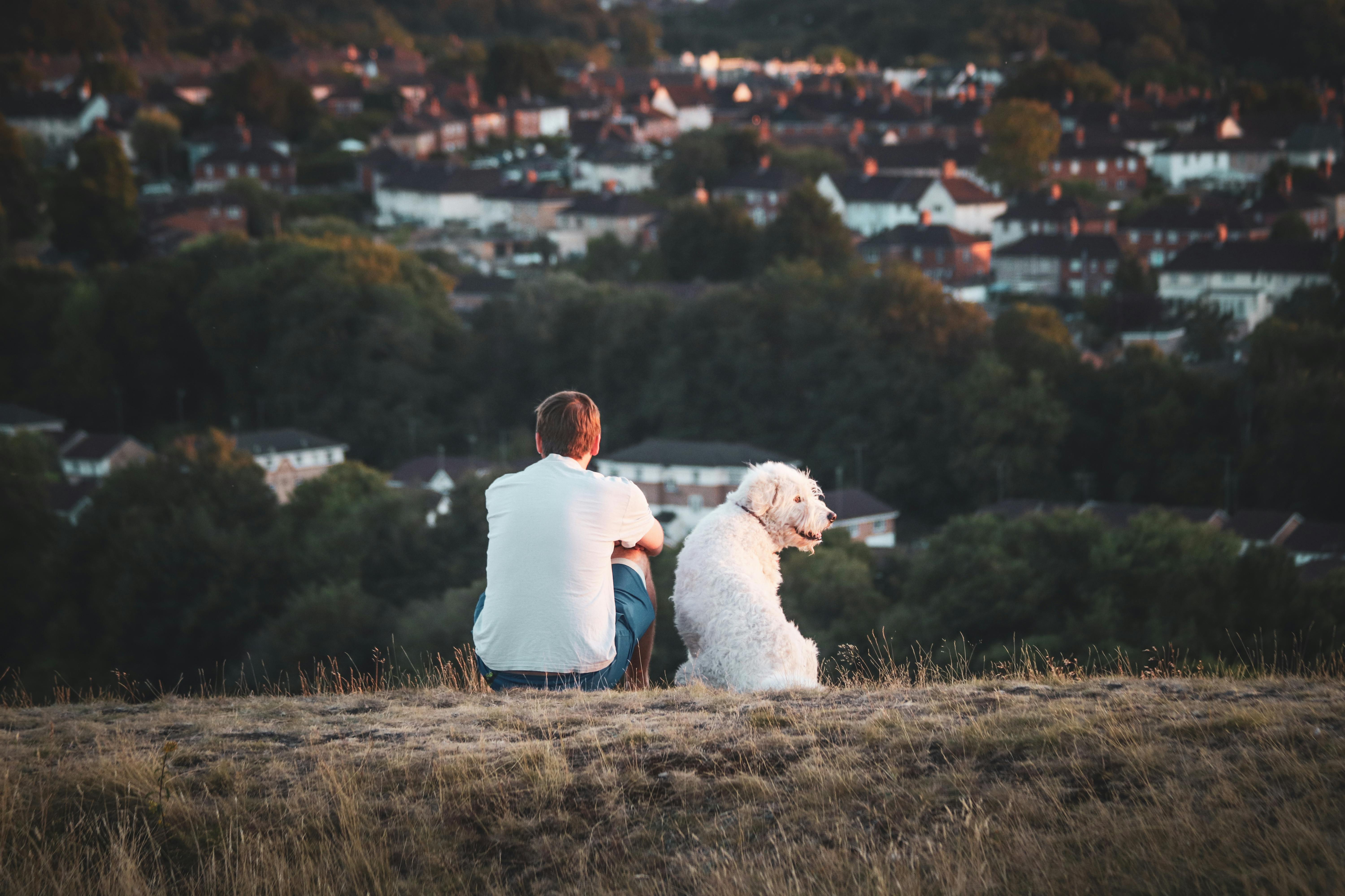 Traveling with Pets: Tips for Stress-Free Adventures