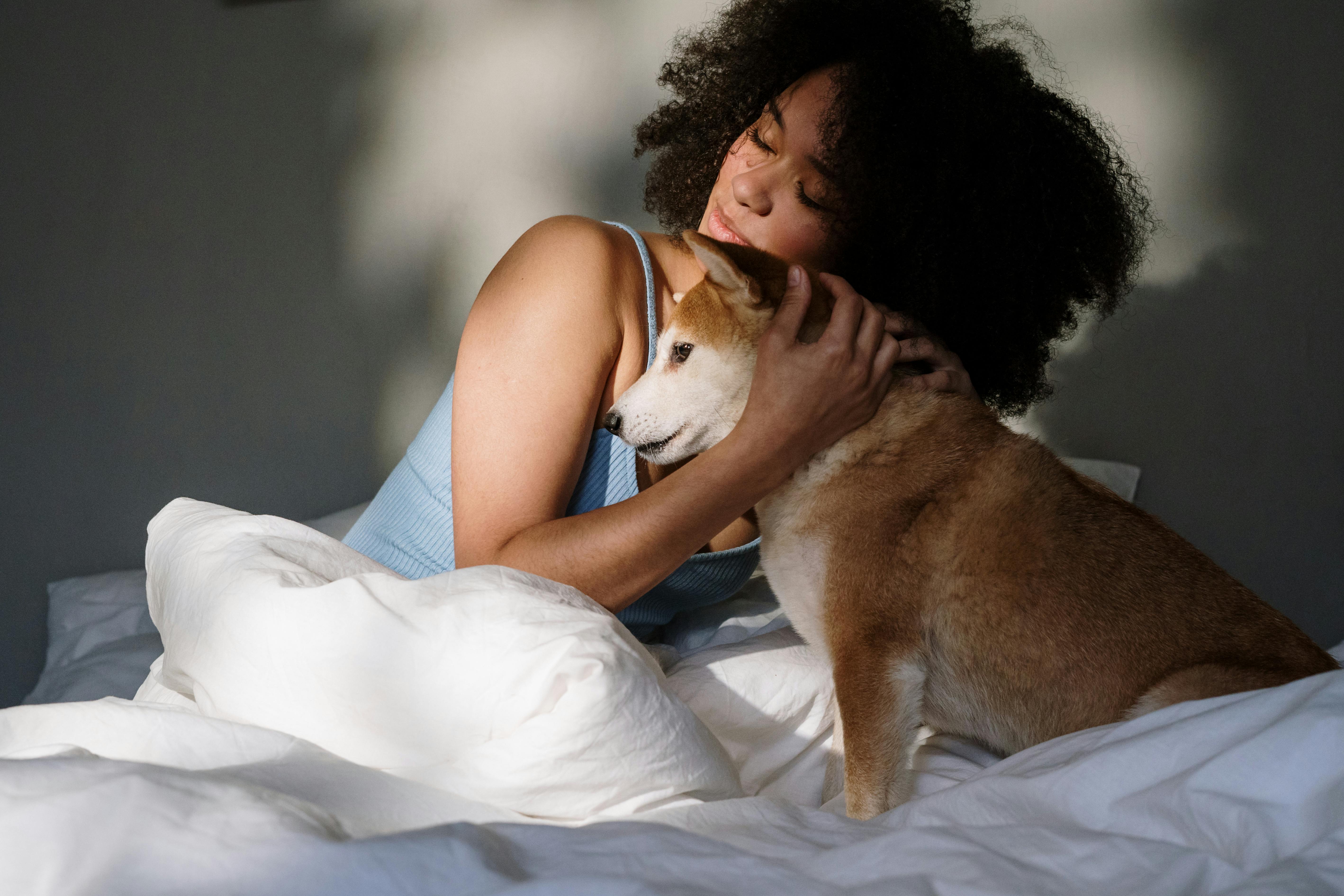 How to Care for Senior Pets: Tips for Their Comfort and Health