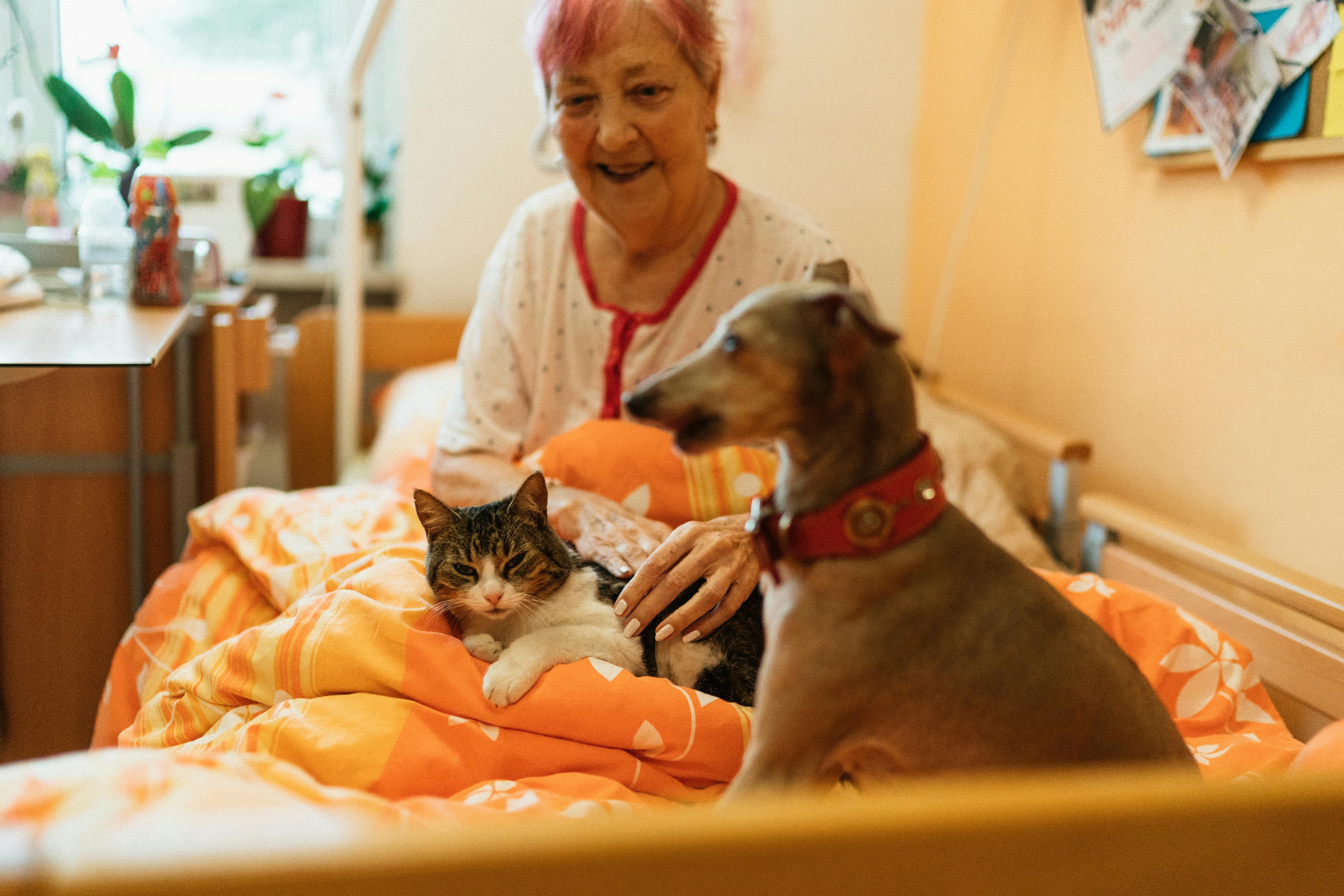 How to Deal with Separation Anxiety in Dogs and Cats