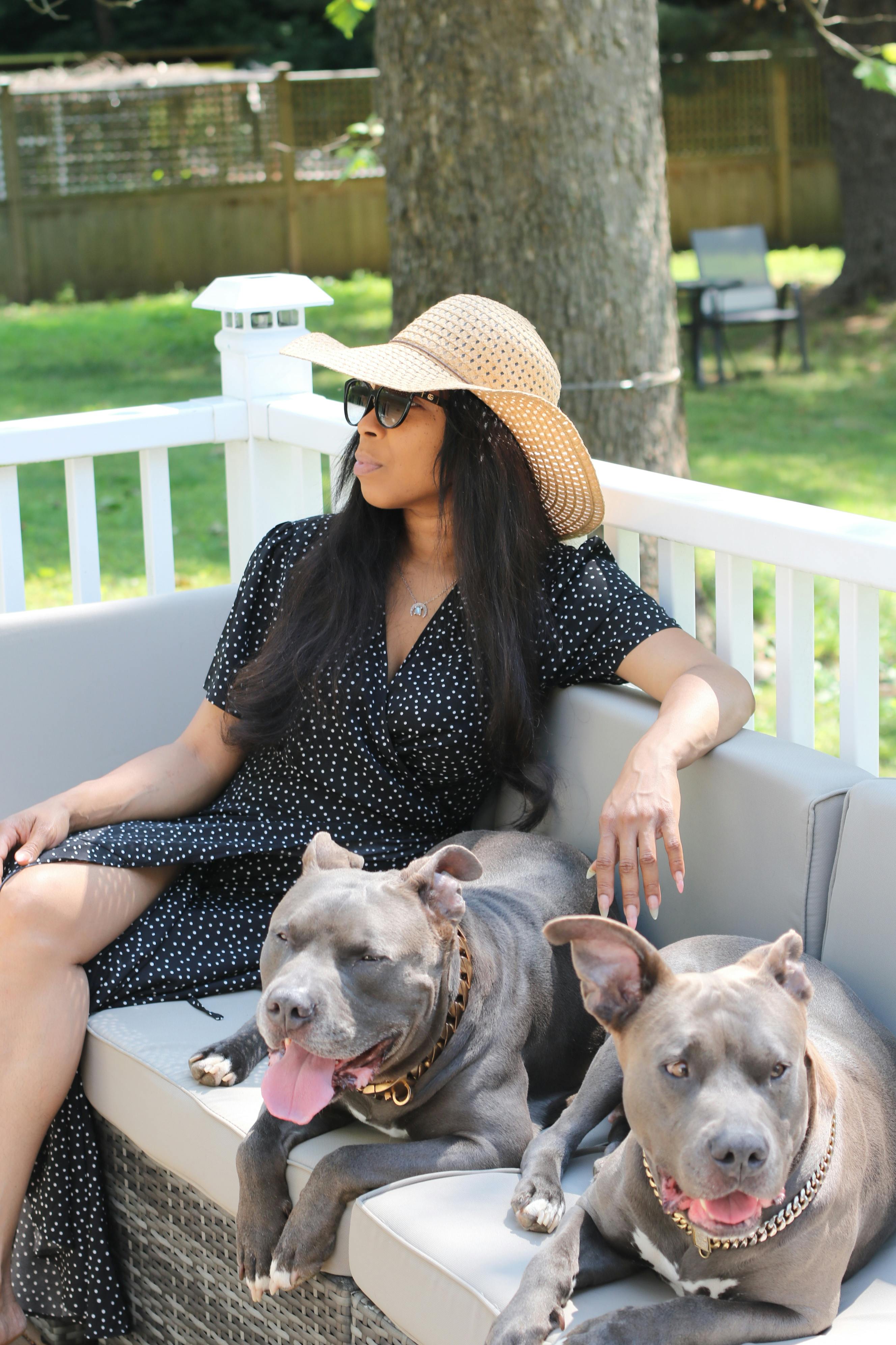 Simple Ways to Make Your Pet Behave Better at Home