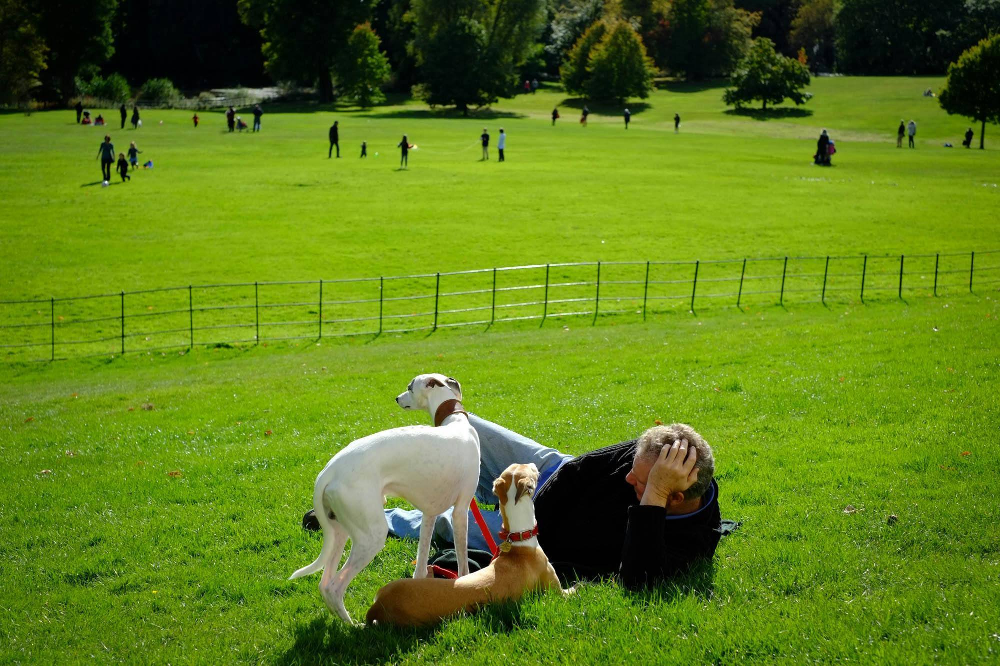 How Having a Dog Encourages a Healthier, More Active Lifestyle