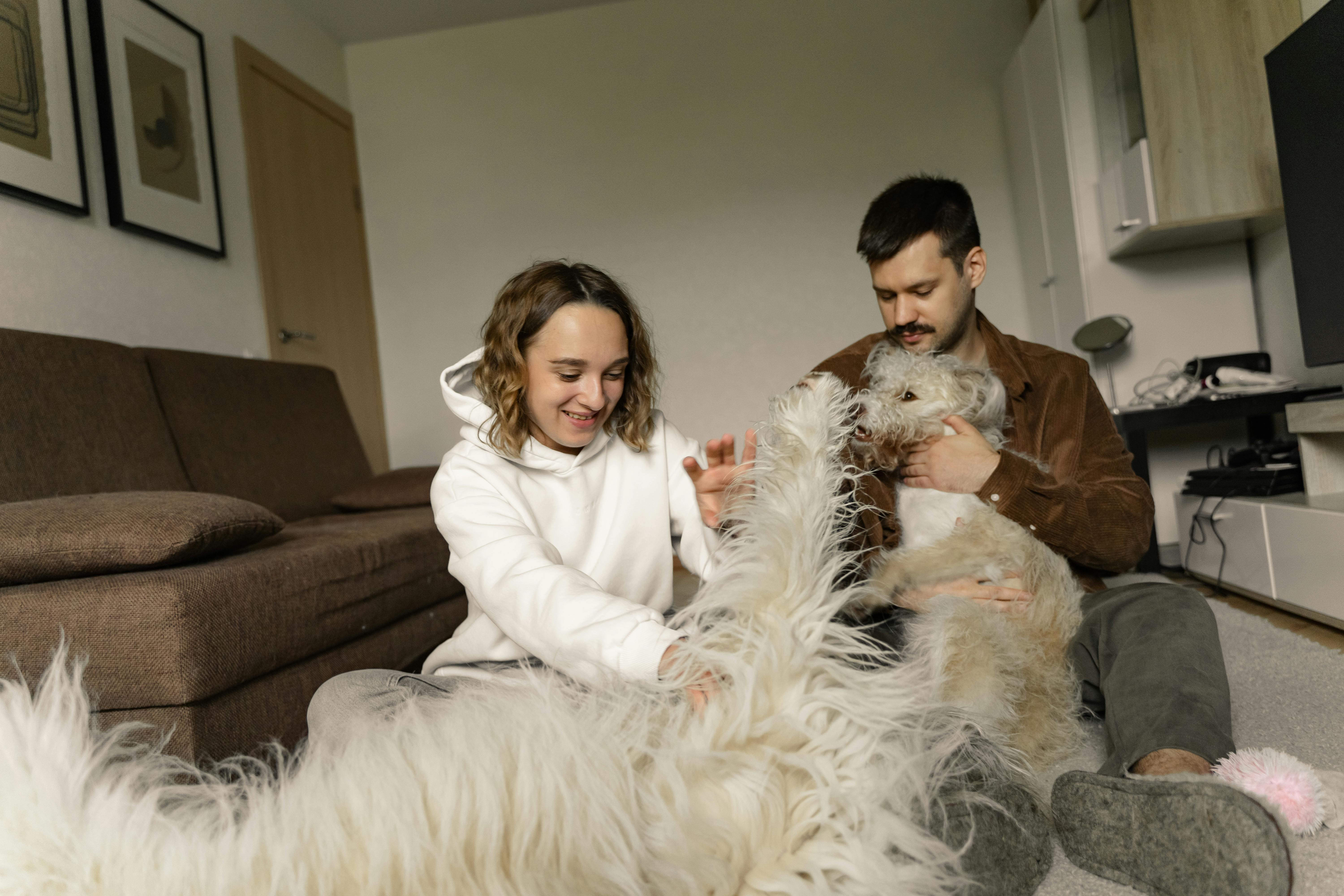 Simple Daily Habits to Keep Your Pet Healthy and Happy