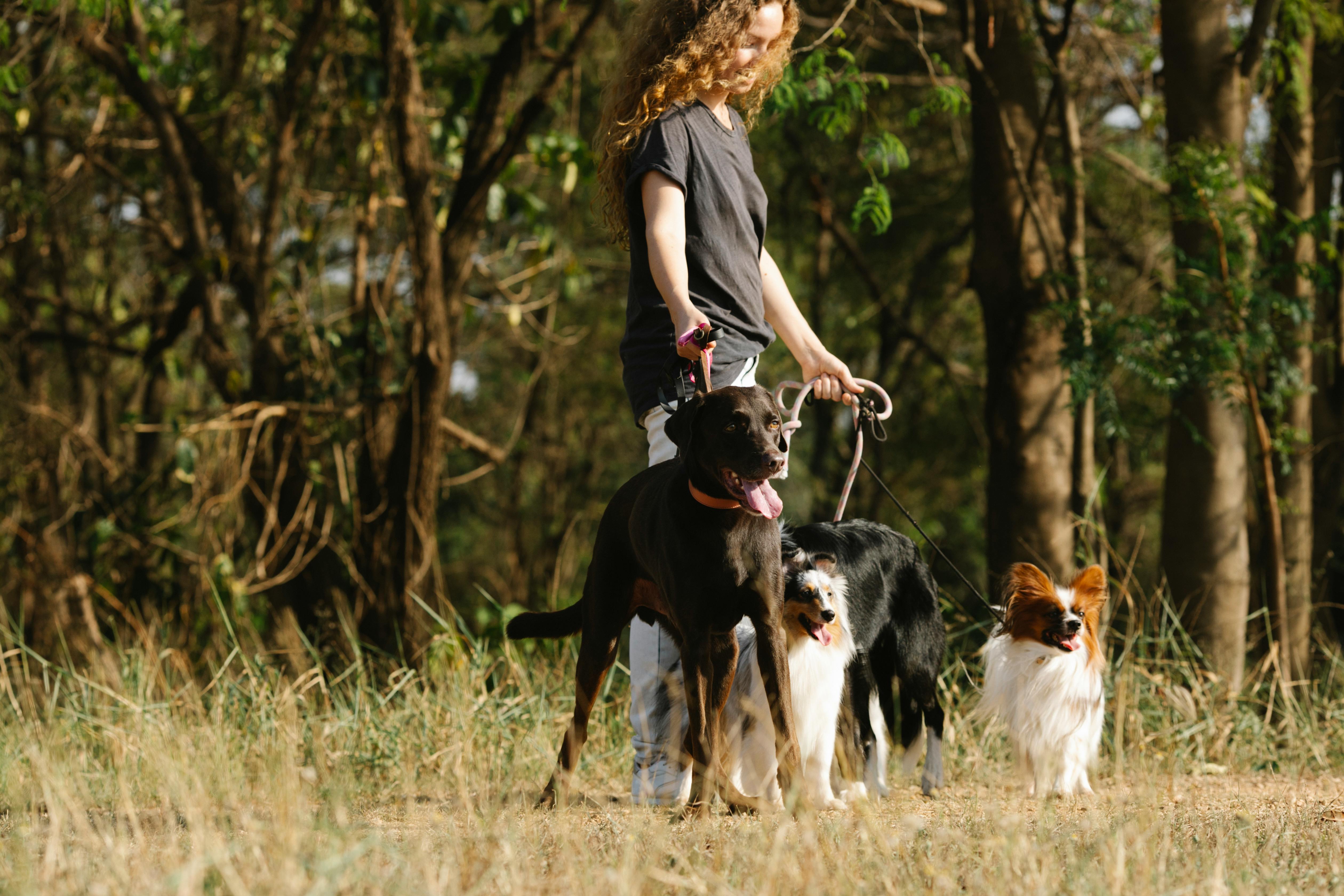 Why Spending “Me Time” with Your Pet is Just as Important as Self-Care for Yourself