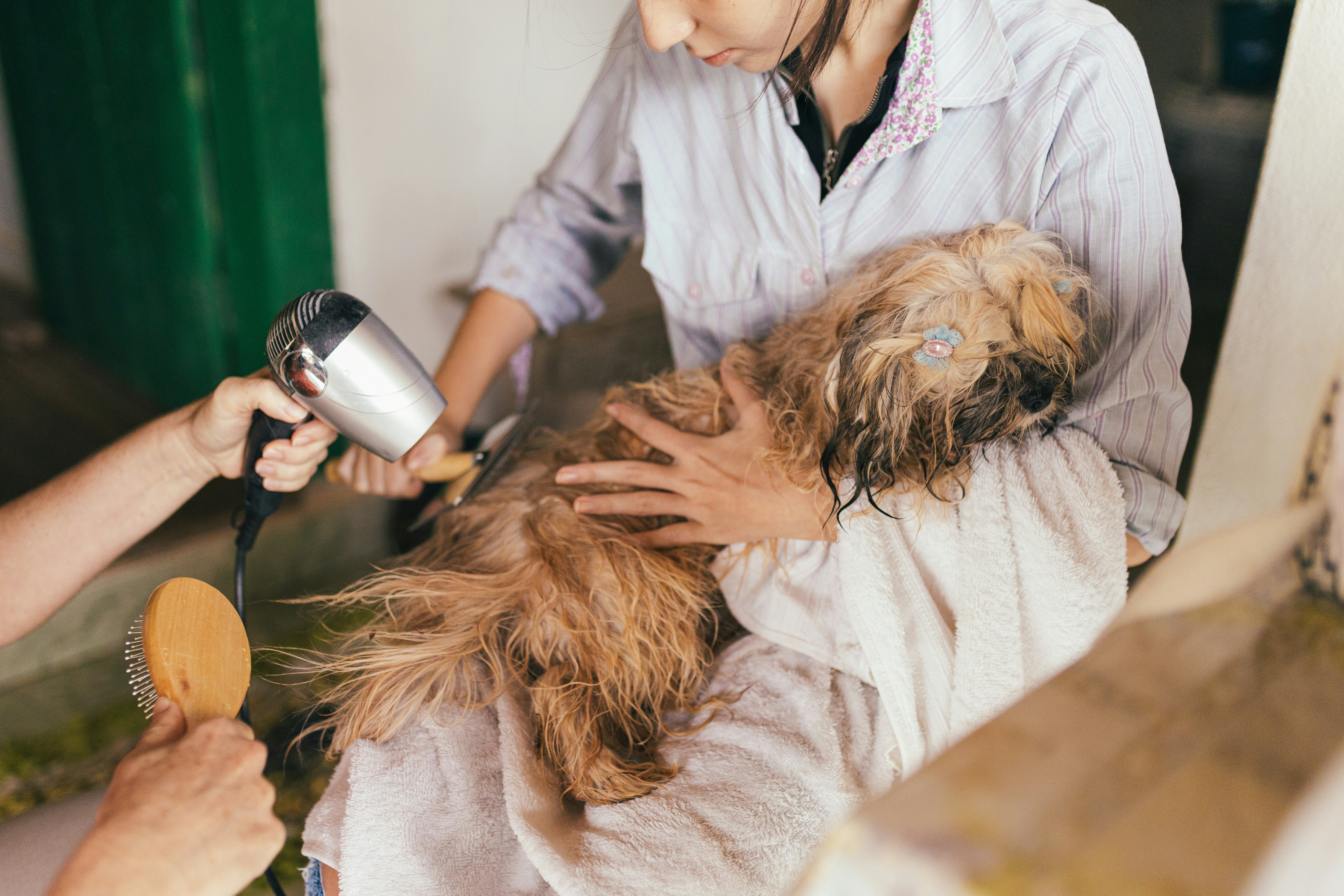 Everyday Habits That Keep Your Pets Happy and Healthy