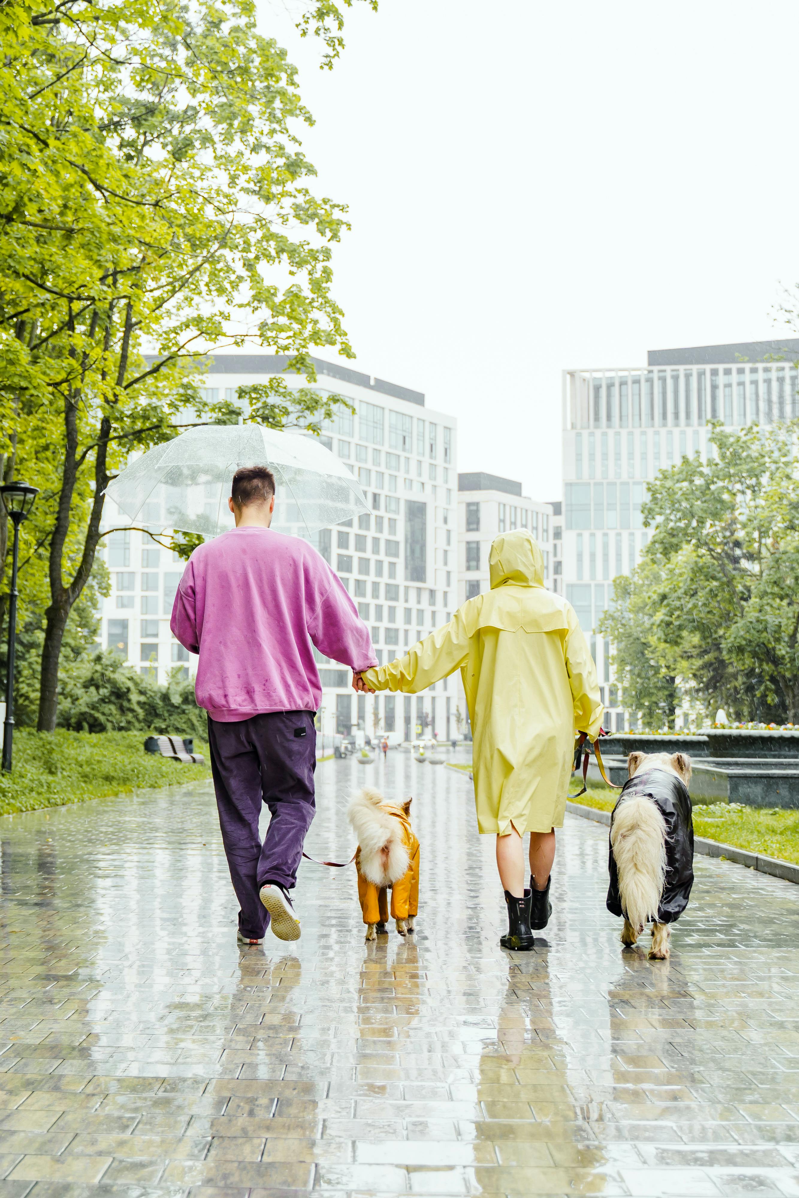Everyday Habits That Boost Your Pet’s Happiness and Health