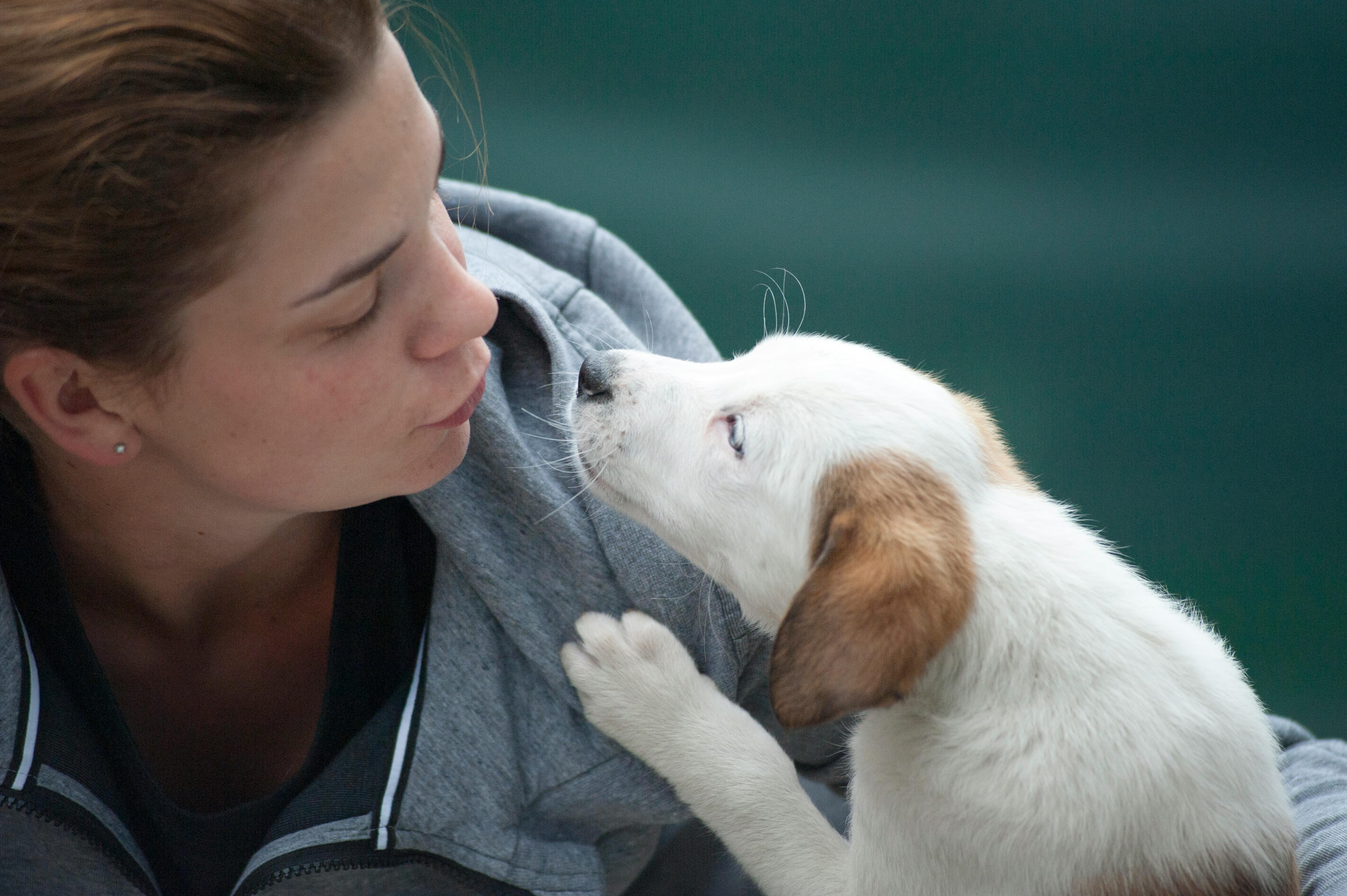 How to Spot Early Signs of Illness in Your Pet